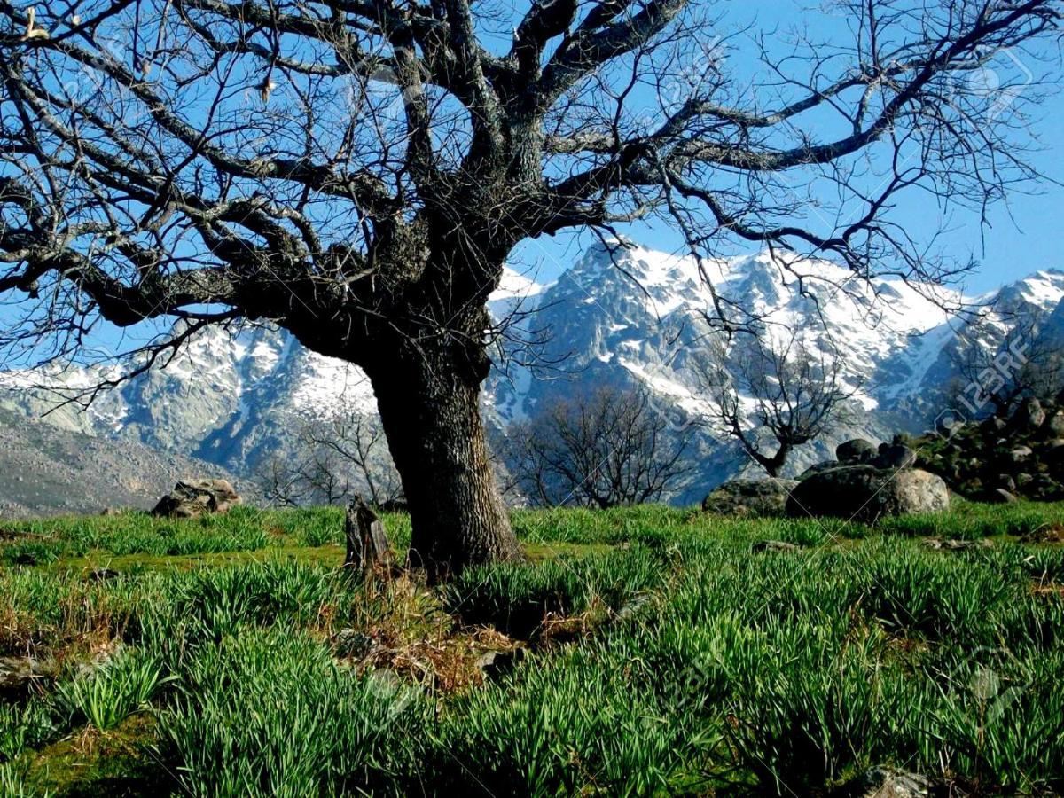 Casa Rural Alto Santiago Santiago del Collado ภายนอก รูปภาพ
