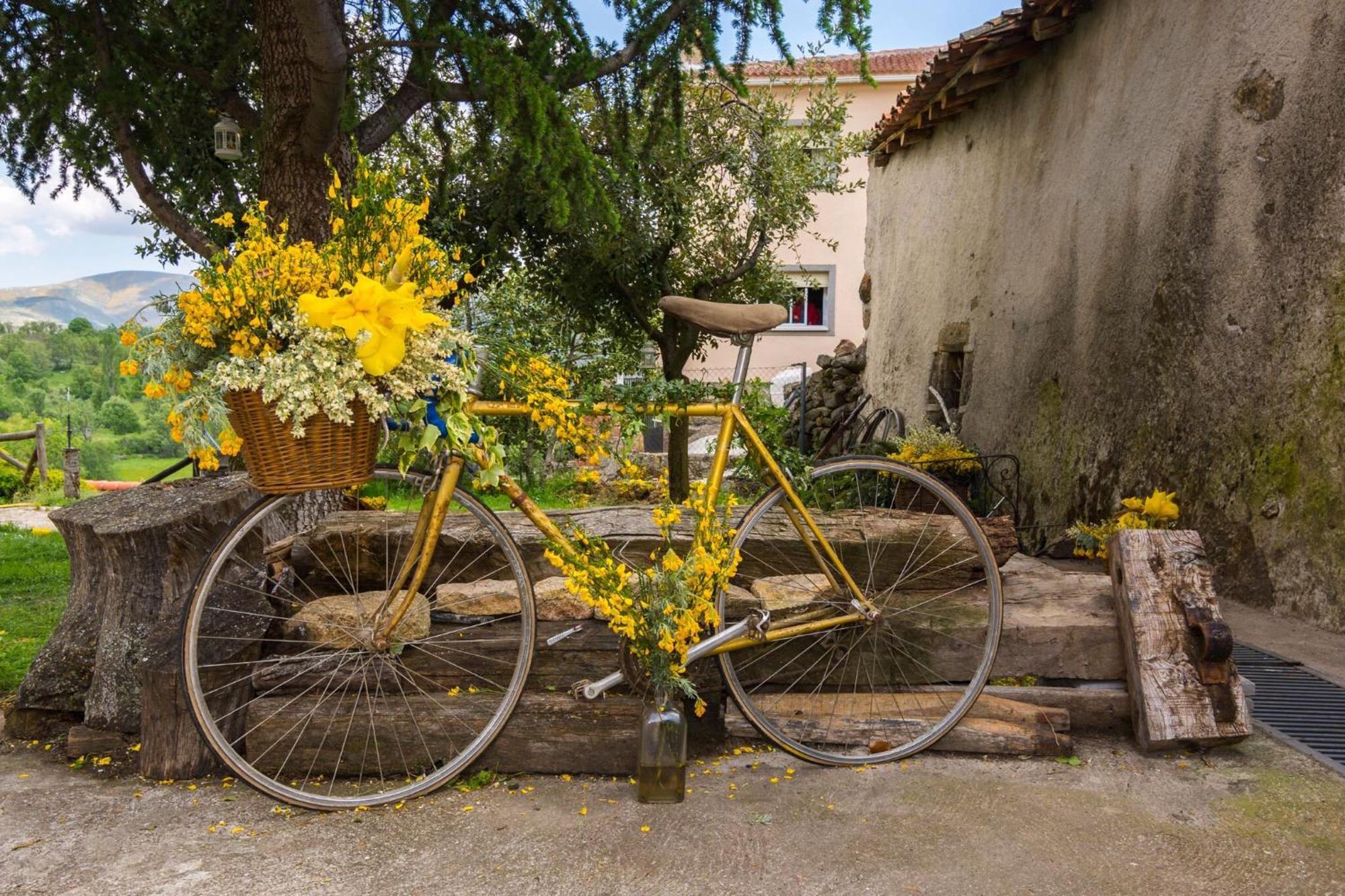 Casa Rural Alto Santiago Santiago del Collado ภายนอก รูปภาพ